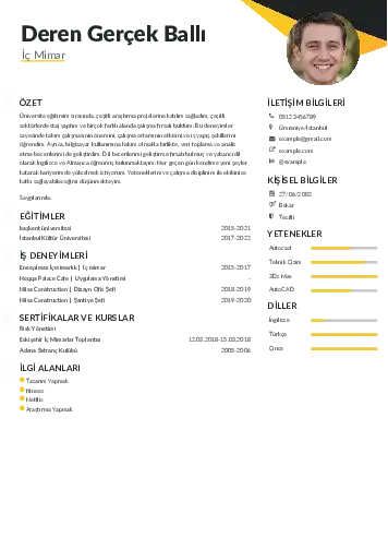 İç Mimar Cv Örnekleri cv indir